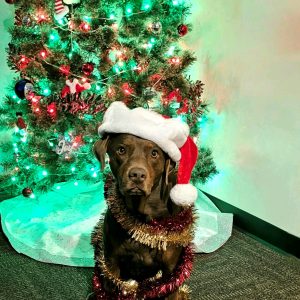 Coco Christmas