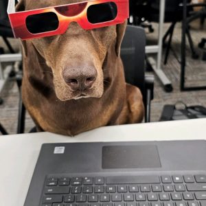 Coco Eclipse