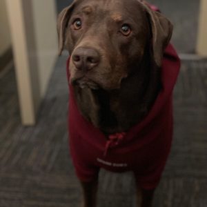 Coco Hoodie
