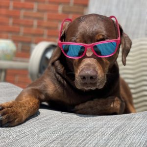 Coco Sunglasses