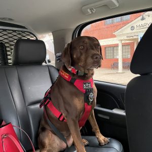 Coco the Passenger